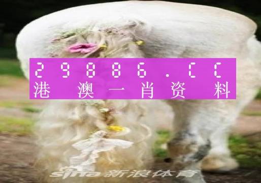 快评 第740页