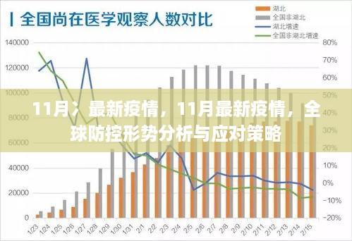 最新疫情动态下的全球挑战与应对策略（疫情下的全球视角第12期）