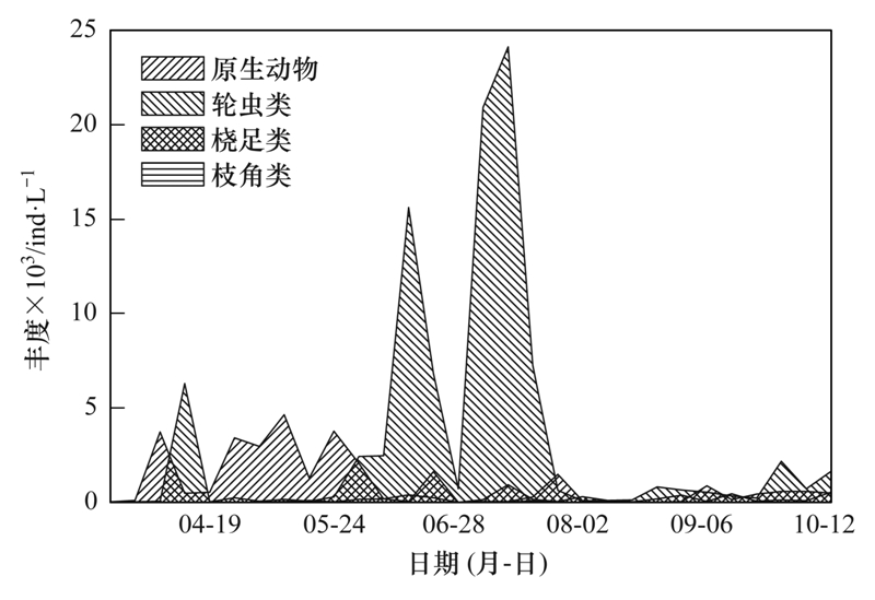 最新隐形动态，探索未来的隐形科技及其影响