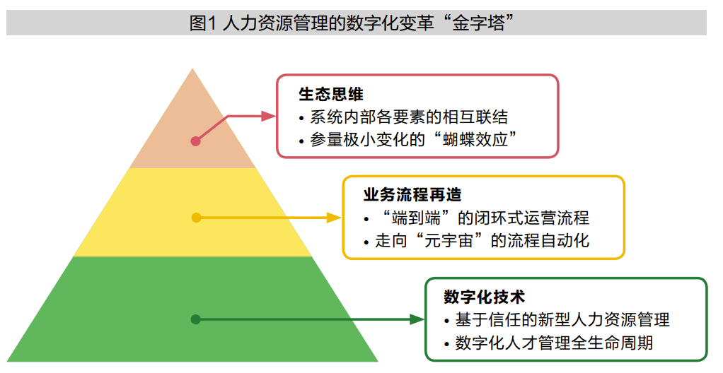 最新空军涂装，技术革新与战略转型的完美结合