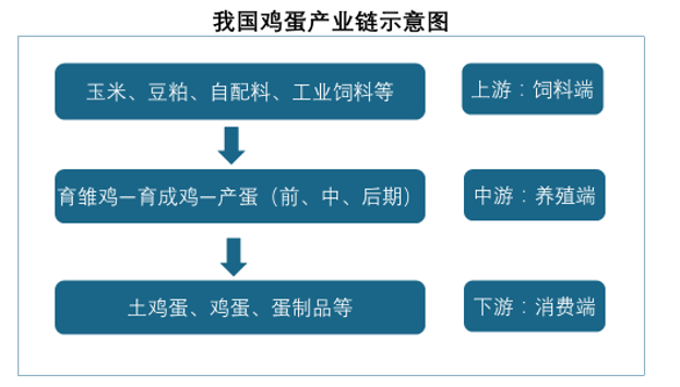 鹅最新价钱，市场走势与影响因素分析