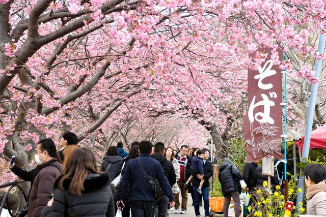 河津最新疫情动态及其影响