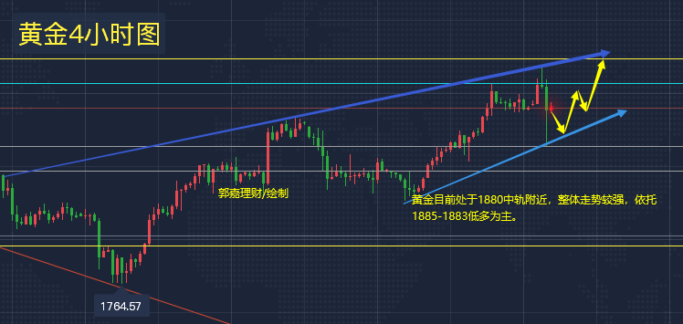 紫金理财最新动态，探索前沿策略与趋势分析