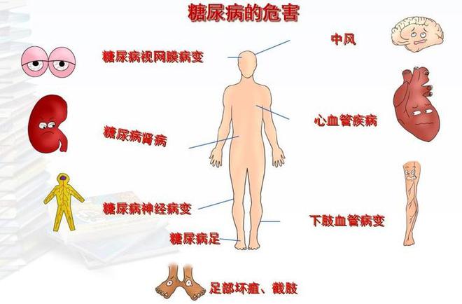 最新血热研究，成因、症状与治疗方法