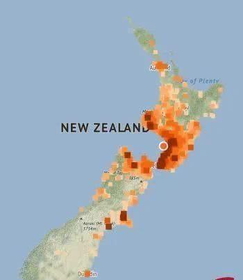 新西兰地震最新动态及其影响