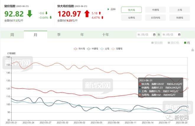 最新价格动态分析