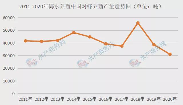 虾最新信息，探索虾类产业的最新动态与发展趋势