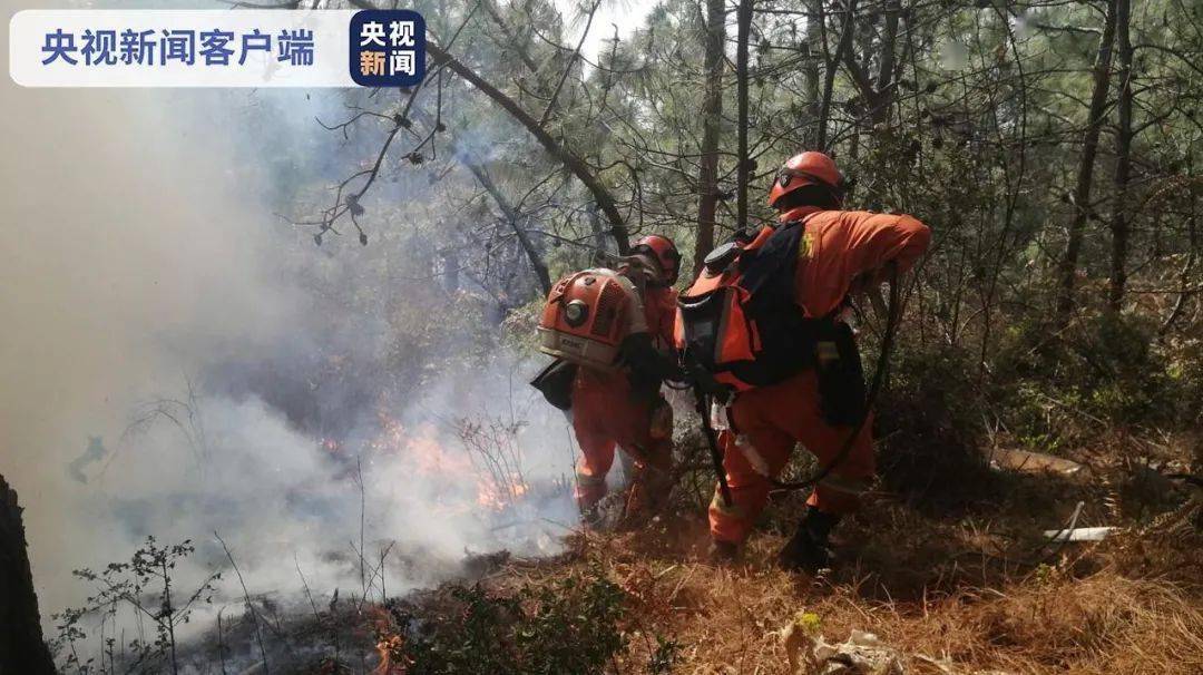 楚雄山火最新情况报告